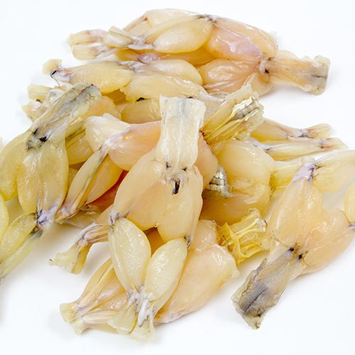 Cuisses de grenouille fraîches